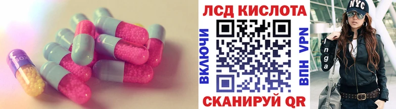 где можно купить наркотик  Новозыбков  гидра зеркало  Лсд 25 экстази кислота 