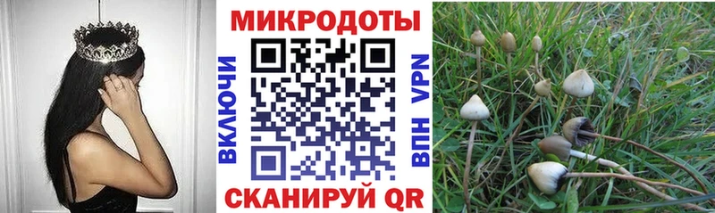 Псилоцибиновые грибы ЛСД  Новозыбков 